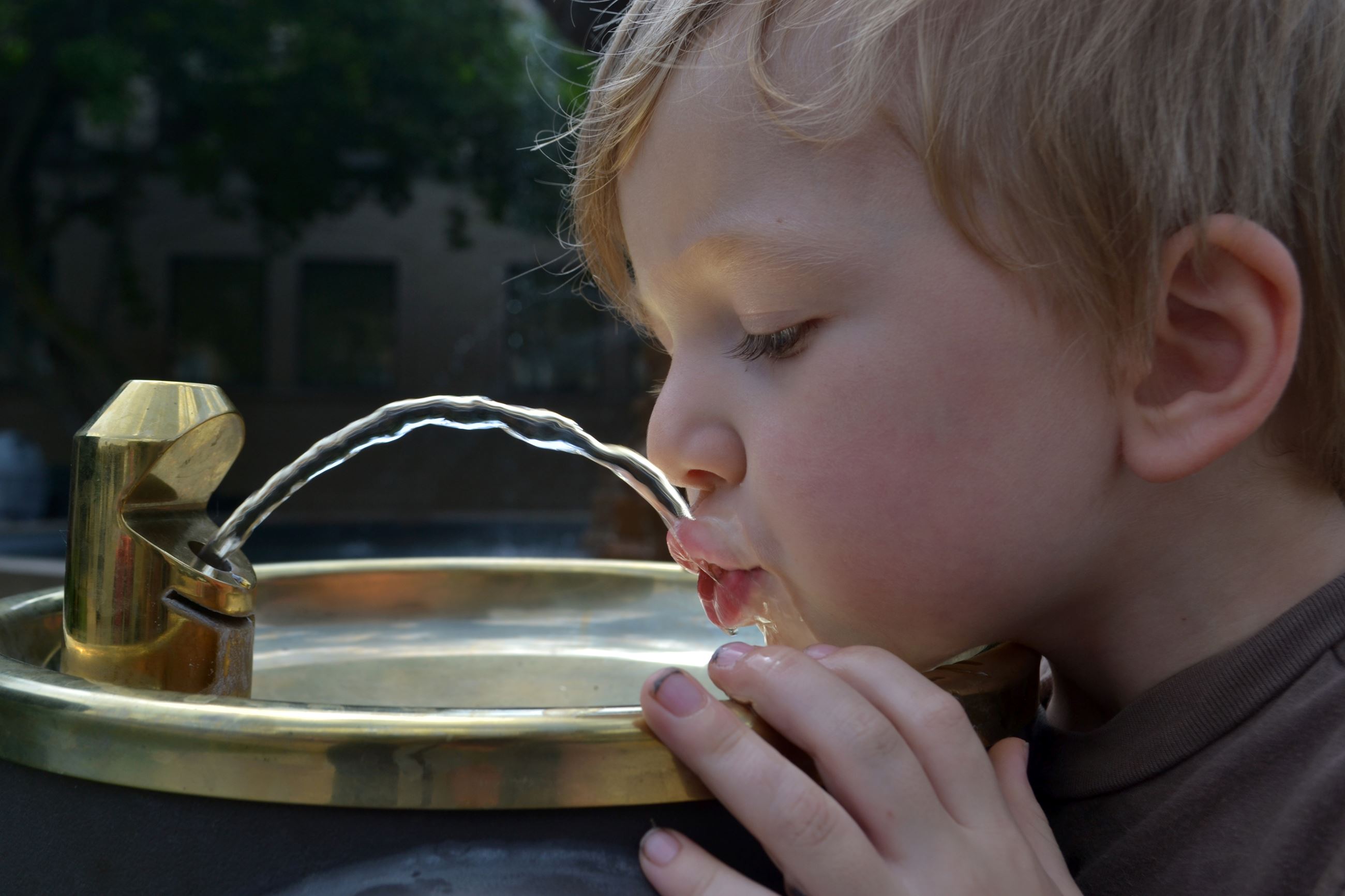 toddler drinking from water fountain