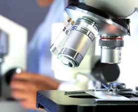 bacteria-mold-testing