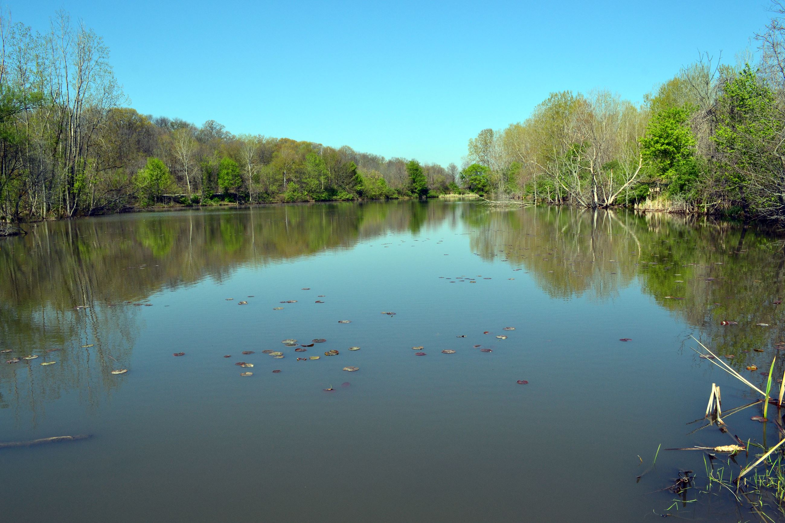 River Valley Wetlands