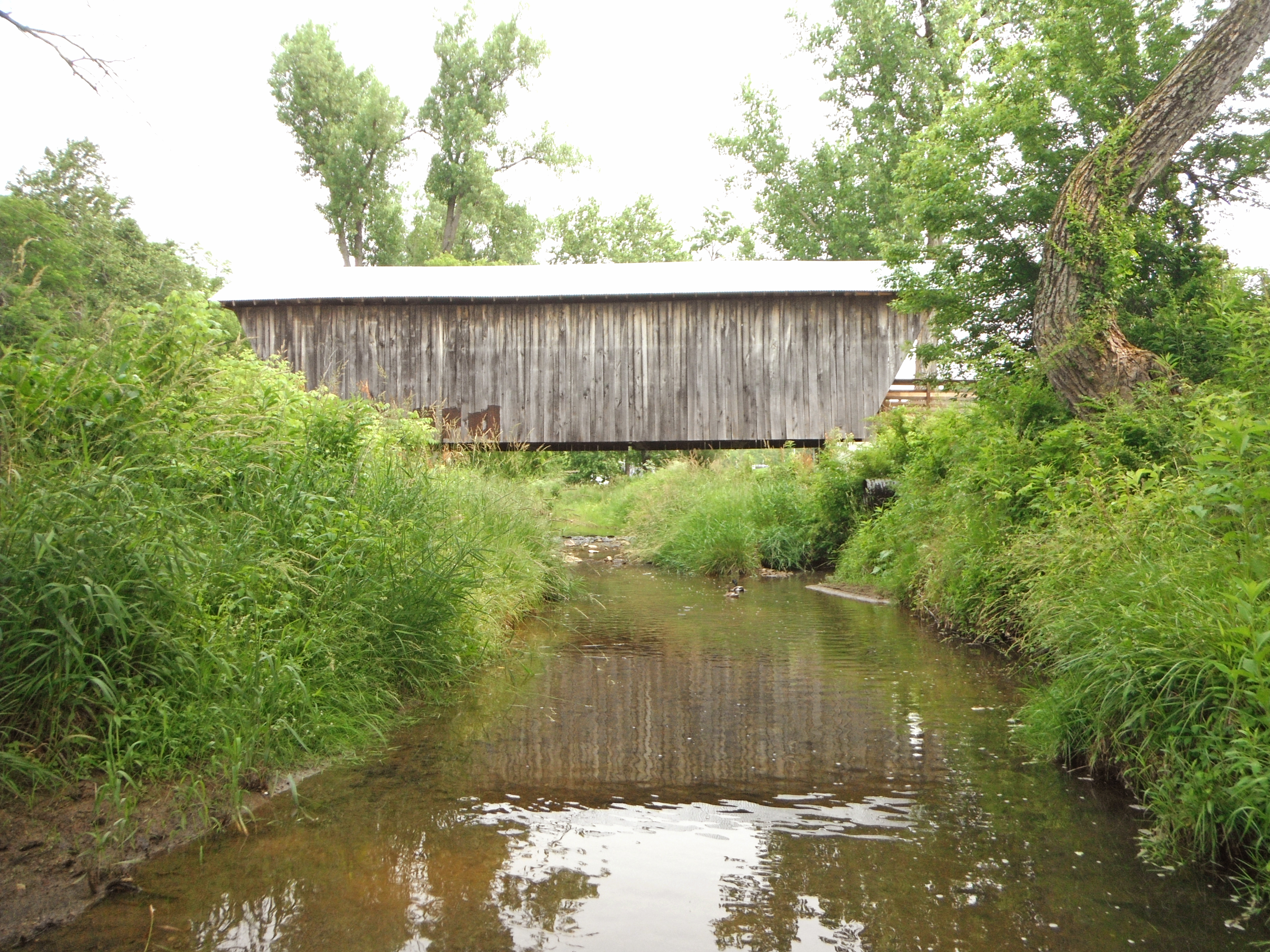 Overgrowth near covered bridge