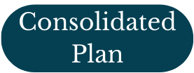 Consolidated Plan