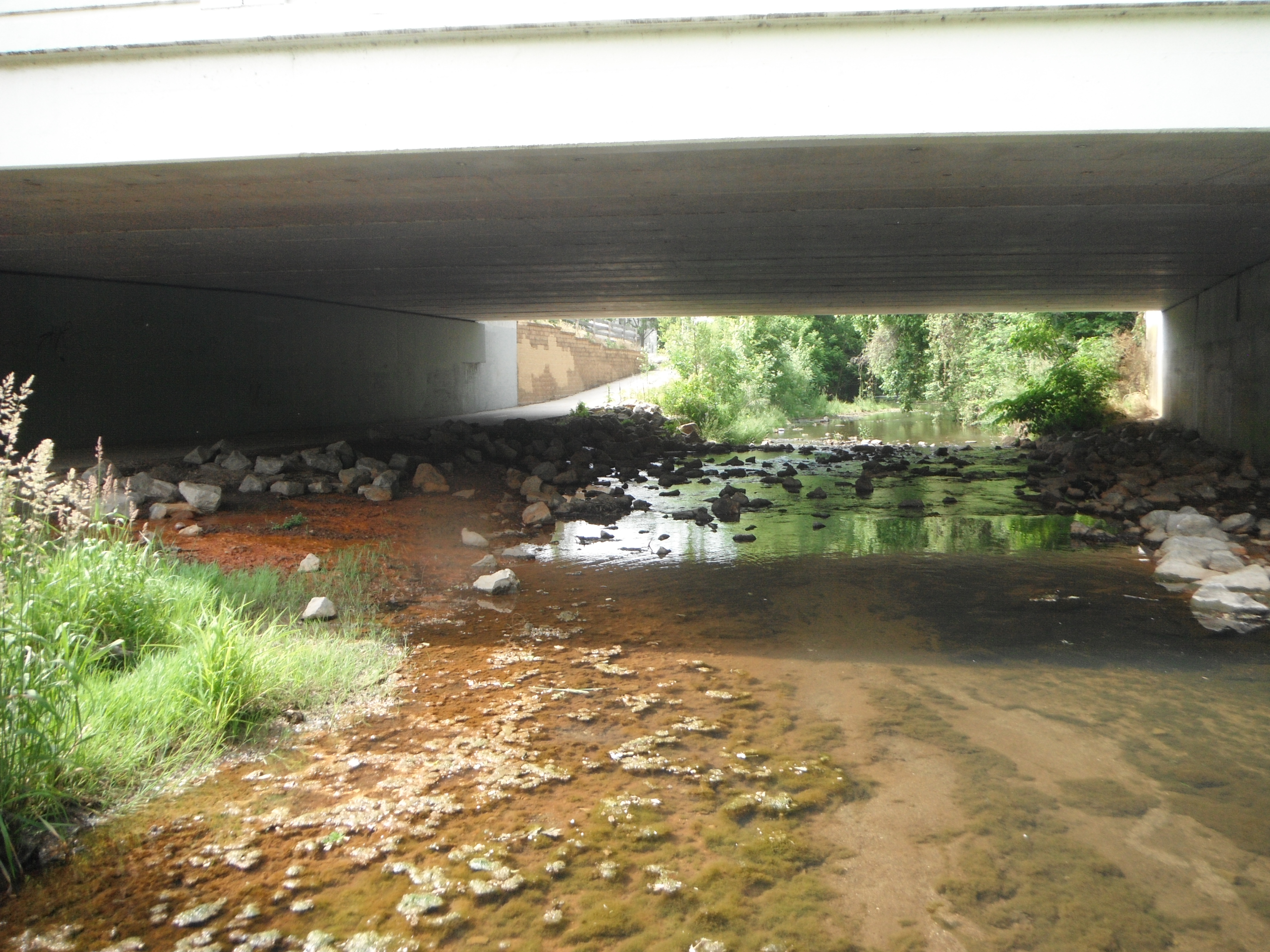 Stream under the bridge
